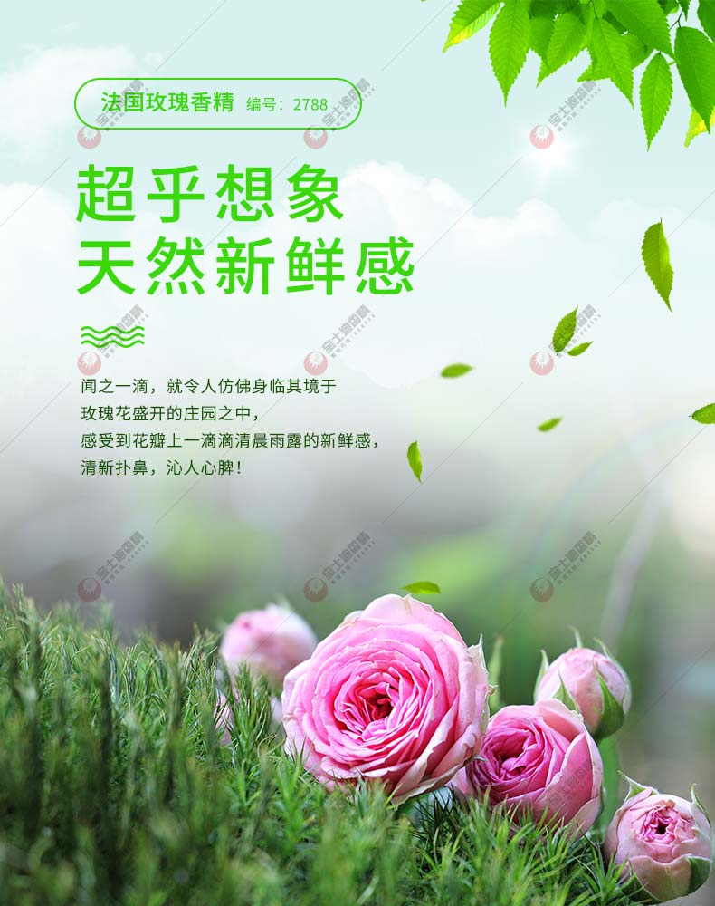 õ㾫溆